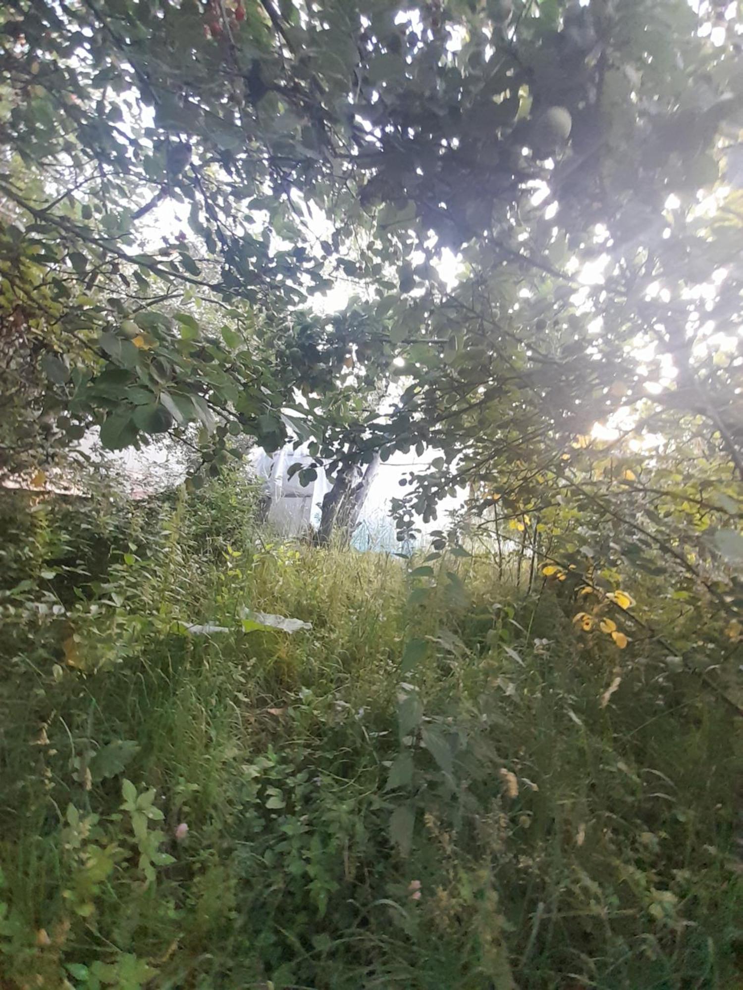 Waterfall In The Yard Karakol Kültér fotó